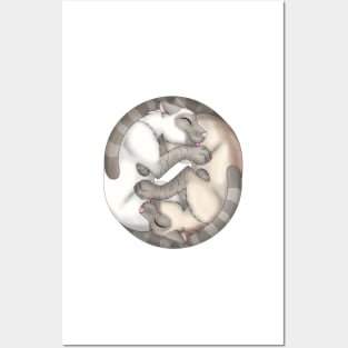 Yin-Yang Cats: Fawn Lynx Point Posters and Art